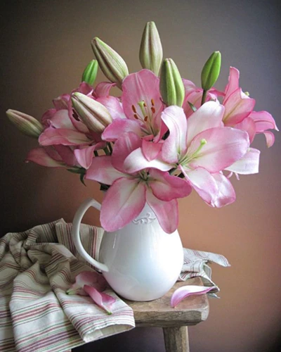 Flower & Woman Paint By Numbers Kit